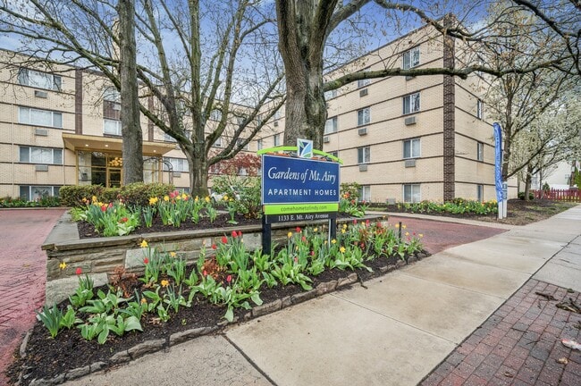 Building Photo - Gardens of Mt. Airy