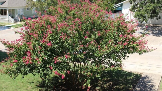 Building Photo - 301 E 34th St