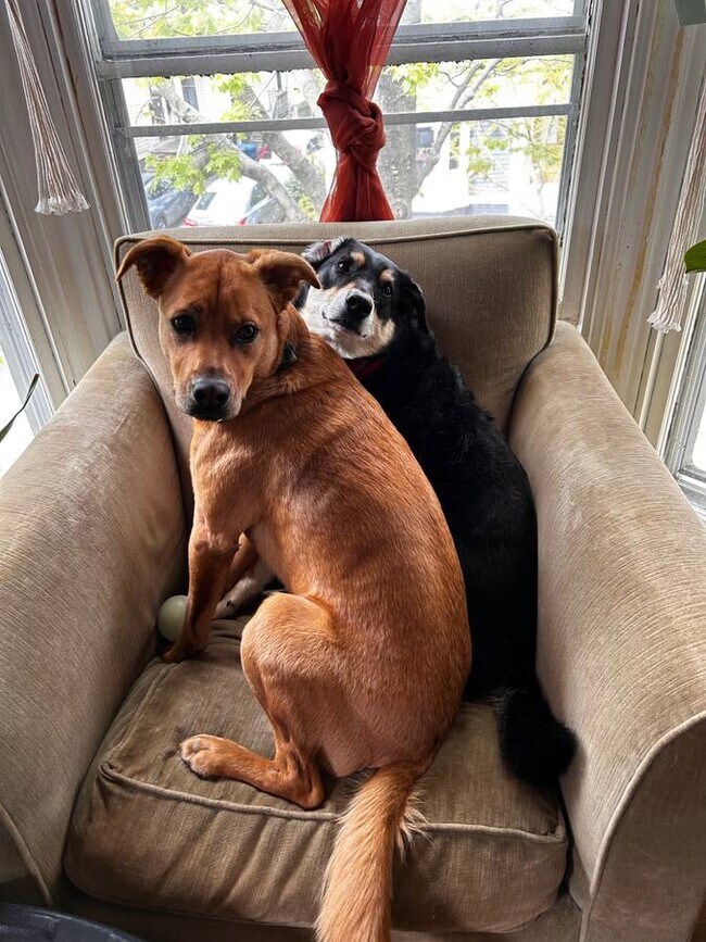 Foto del edificio - 127 Emery St