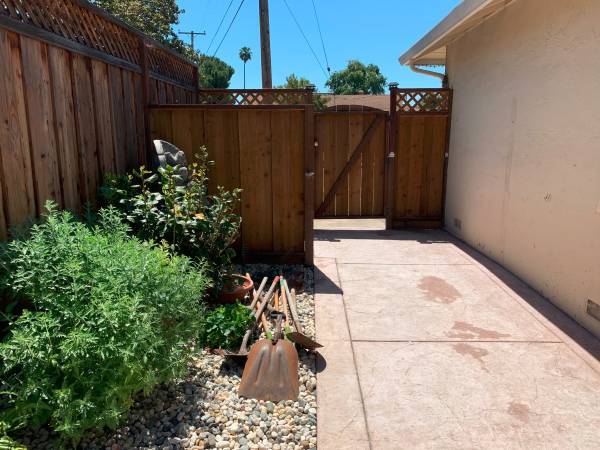 Backyard - 2409 Fordham Dr