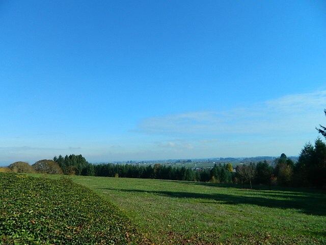 Foto del edificio - 45157 NW David Hill Rd