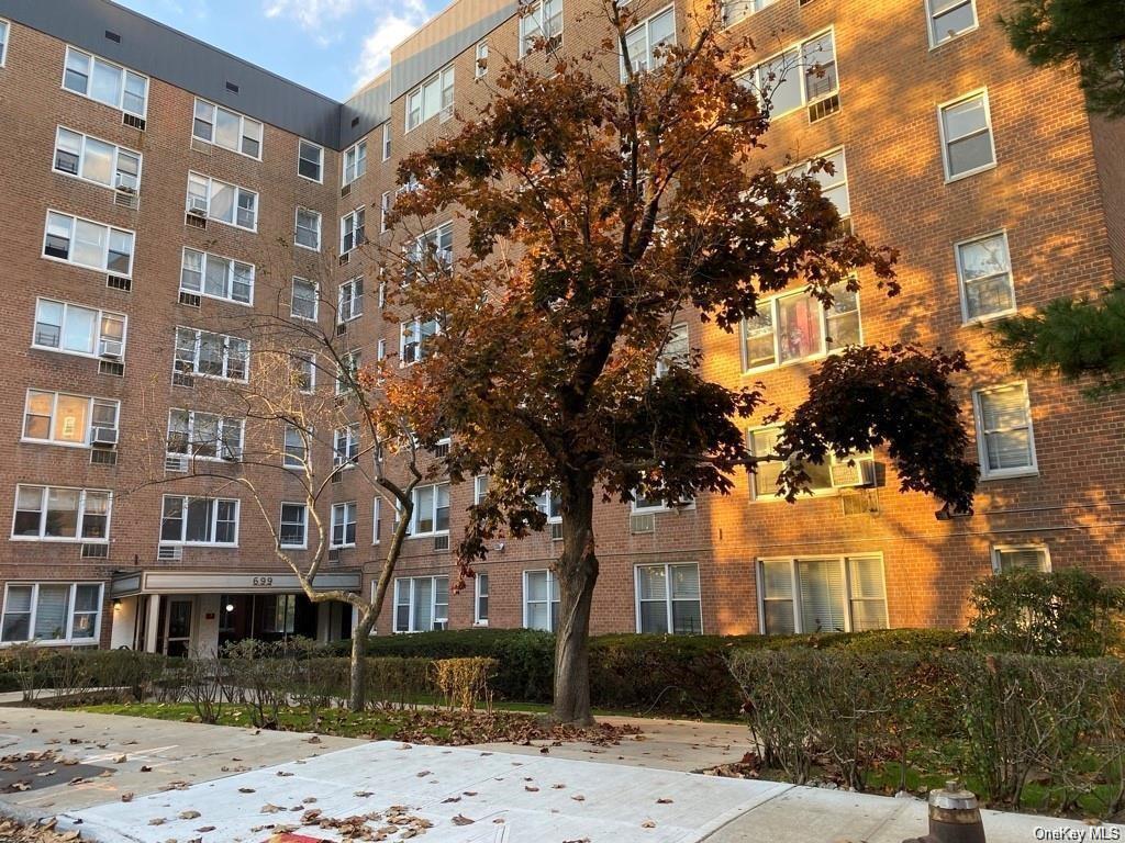 699 W 239th St Unit 5L, The Bronx, NY 10463 Room for Rent in The