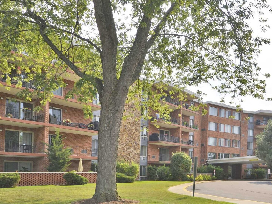 Foto principal - 18 E Old Willow Rd