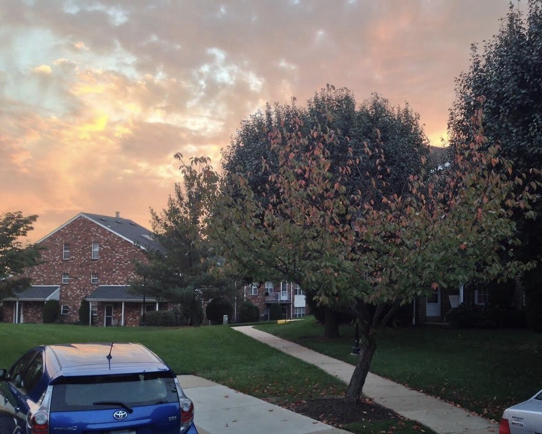 516 Valley Glen Rd, Melrose Park, PA 19027 Condo for Rent in Melrose