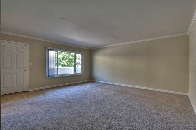 1x1 - Livingroom - Tamarack Apartments