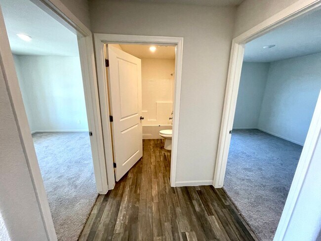 Building Photo - New Beautiful 2023 Construction- 4 Bedroom...