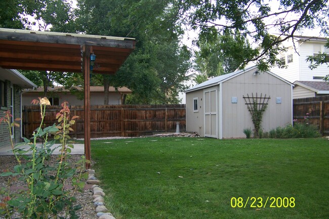 Backyard - 726 Hilltop Street