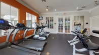 This fitness center is designed to accommodate a comprehensive workout experience within a single, thoughtfully organized space. The interior is finished with crown molding, recessed lighting, and ceiling fans, contributing to a clean and comfortable environment. A bold orange accent wall serves as a defining architectural feature, adding energy and visual contrast to the otherwise neutral white walls and trim.

The cardio zone is lined with treadmills and elliptical machines from True Fitness, positioned along the windowed wall to allow natural light to fill the space. Large windows frame views of mature palm trees and tropical greenery, creating an inviting atmosphere during workouts. Wall-mounted televisions are positioned throughout for entertainment.

The strength training area features a full rack of dumbbells, a cable machine, adjustable benches, and a multi-station weight rack with barbell equipment. Floor-to-ceiling mirrors along one wall visually expand the space and assist with form. Durable rubber flooring covers the entire area, providing safety and support.

Access is provided through French doors with glass paneling, connecting the fitness center to the broader facility. The overall ambiance is bright, functional, and well-maintained.