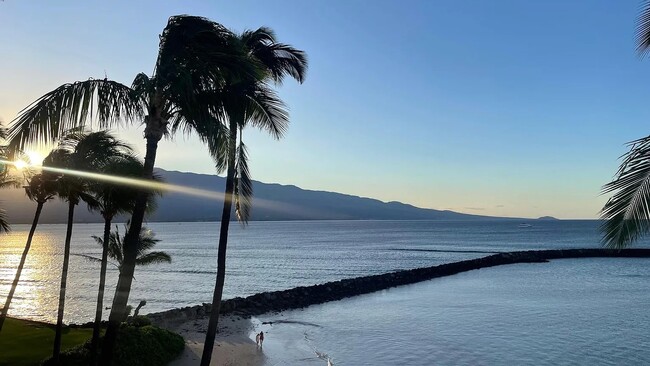 Foto del edificio - 30 Hauoli St