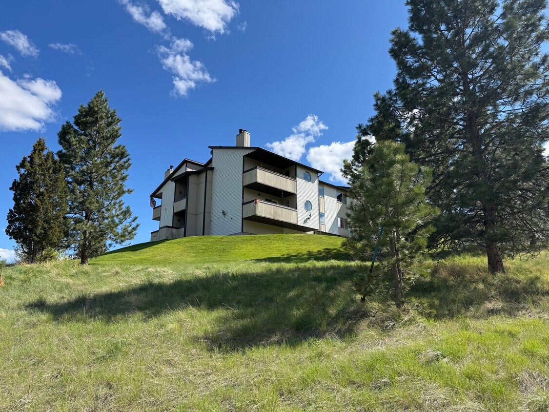 Foto principal - 2214 Alpine Dr