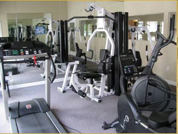 Gimnasio - The Lumen