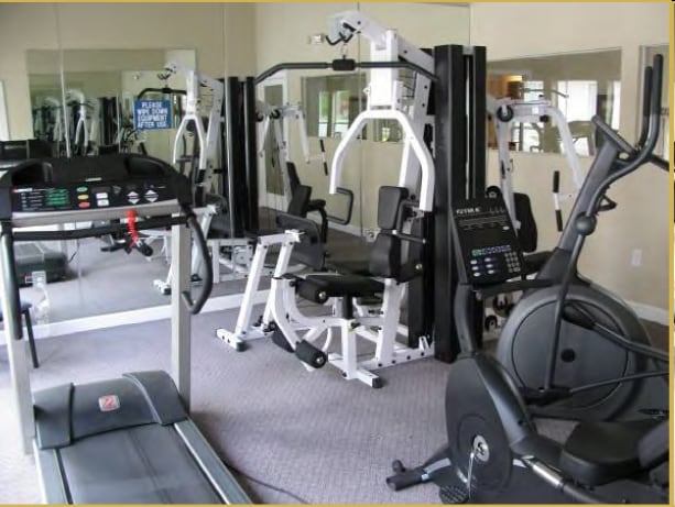 Gym - The Lumen