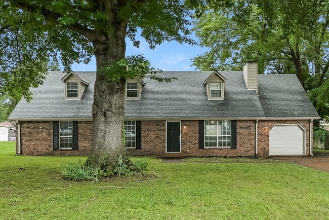 Building Photo - 209 Lexington Dr