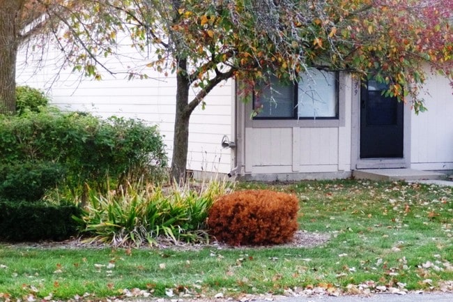 QUAINT LIVING - Elmtree Apts