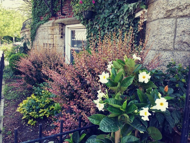 Foto del edificio - 17-31 Herrick Rd