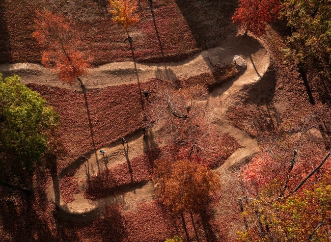 Building Photo - 1311 Co Rd 118