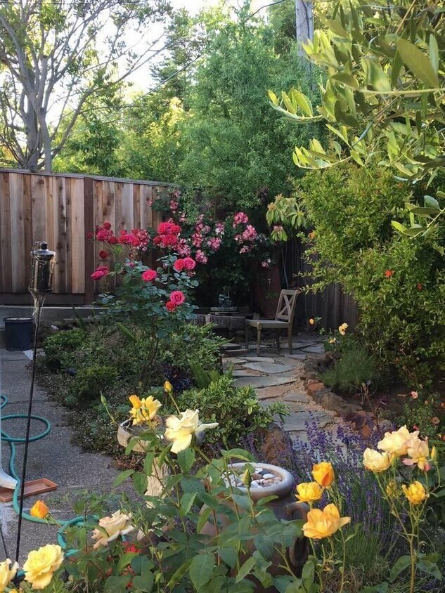 1604 Davis Dr, Burlingame, CA 94010 Condo for Rent in Burlingame, CA