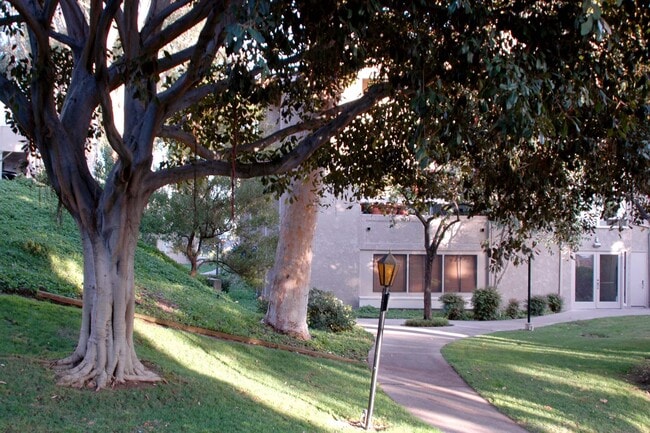 Building Photo - 10400 Caminito Cuervo