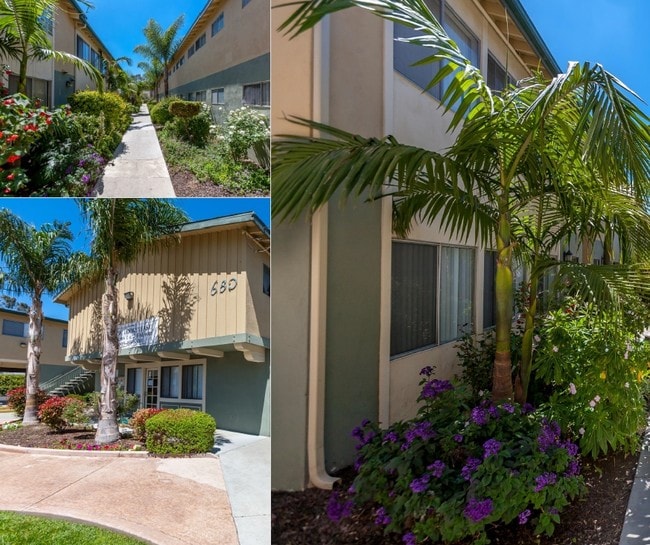 Building Photo - Watch Hill Apartments