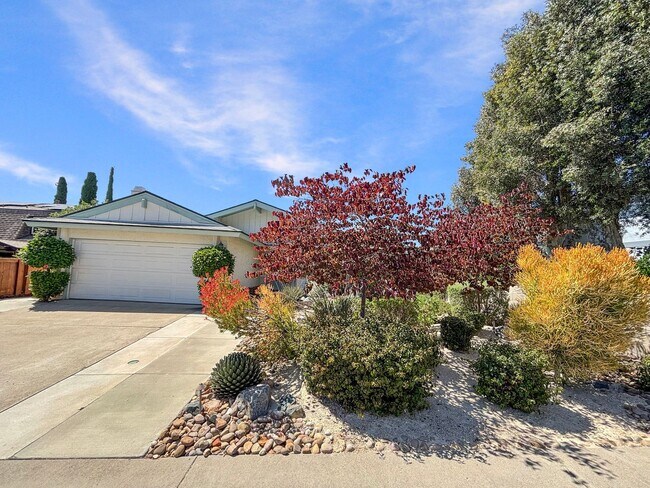 Foto del edificio - Stunning 3BD/2BA House in San Carlos w/ Ce...