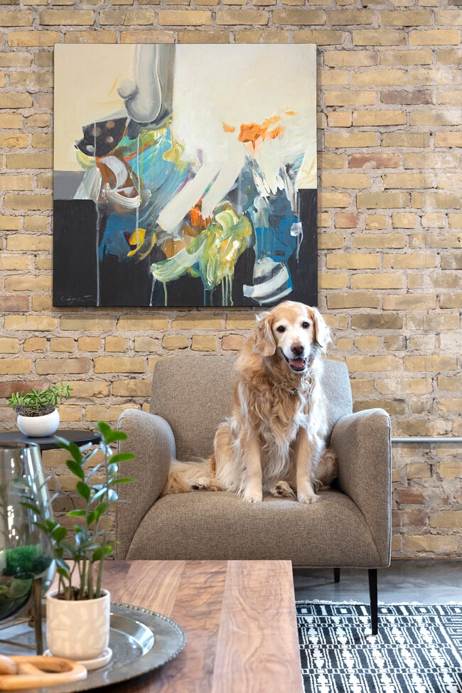 Pet Friendly - Holden House