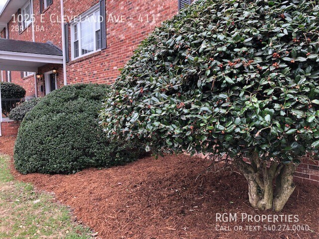 Foto del edificio - 1025 E Cleveland Ave