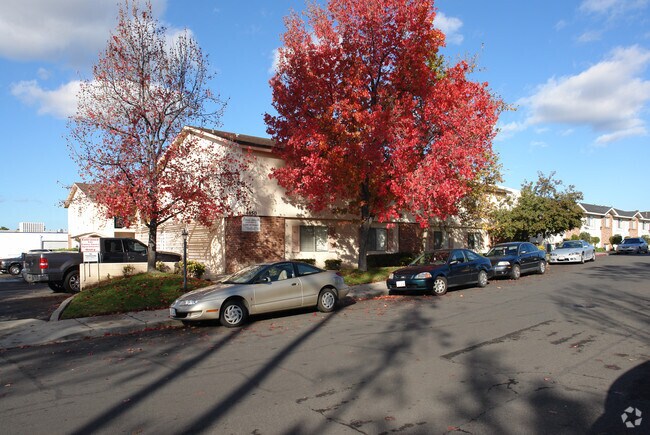Street view of our complex - 4850 Williamsburg Ln