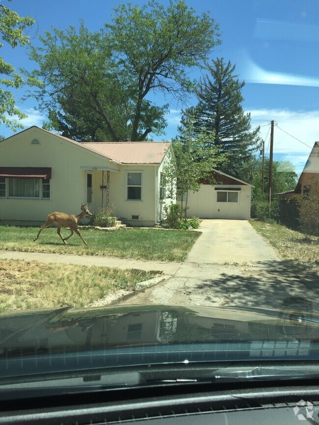 Apartments for Rent in Cortez CO