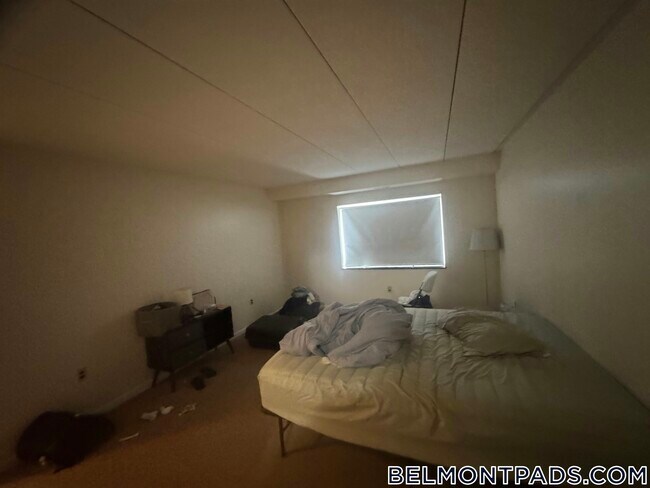Foto del edificio - 51 Hill Rd