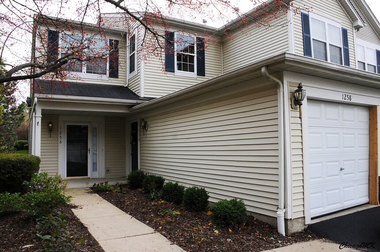 1256 Brookdale Dr, Carpentersville, IL 60110 Townhome Rentals in