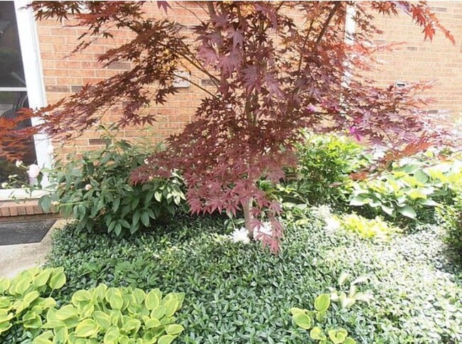 Building Photo - 3424 Springlake Dr