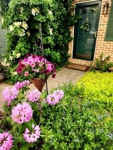 Building Photo - 1637 Ilona Dr