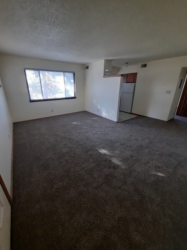 Living room - 741 Guernsey Dr