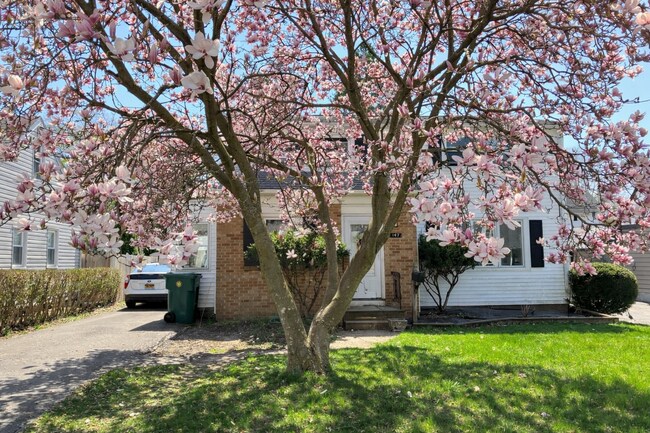 Building Photo - 147 Winstead Rd