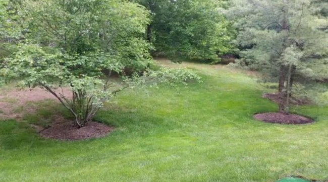 Building Photo - 3103 Commons At Kingswood Dr