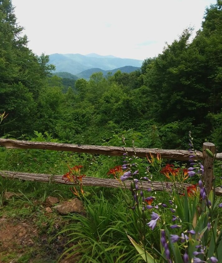 $1,700 - 2 Bedroom / 2 Bath Fully Furnished Cabin with an Amazing View in the Pumpkintown Community - $1,700 - 2 Bedroom / 2 Bath Fully Furnished Cabin with an Amazing View in the Pumpkintown Community