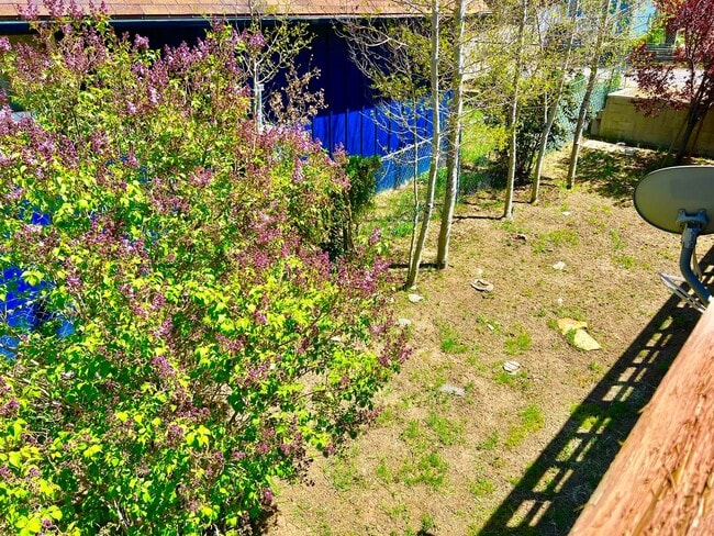 Building Photo - Charming Cabin + Loft in Lake of the Woods!