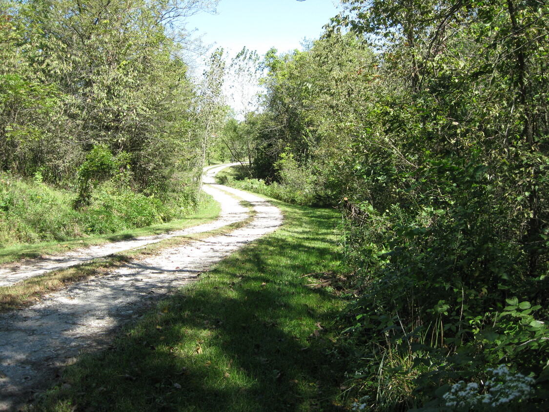 Lane to house - 801 Main St