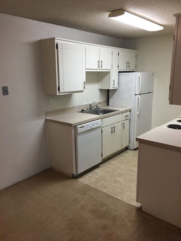 Primary Photo - Newly remodeled - 2 Bed, 1 Bath apartment in downtown Port Angeles