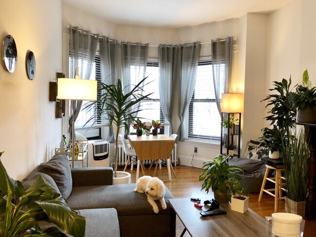 Foto del edificio - 287 Newbury St