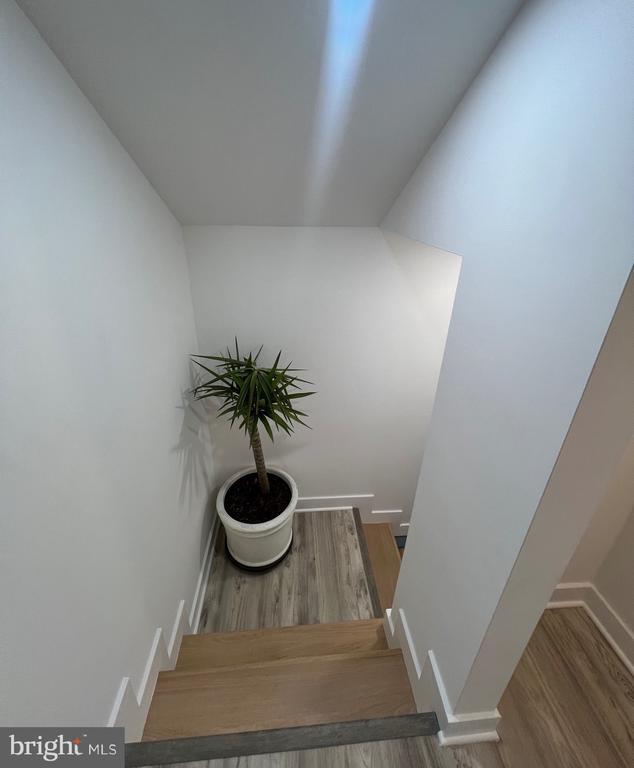 Building Photo - 169 Lawn Park Ave