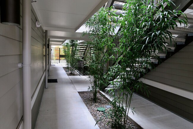 Foto del edificio - 6155 N Minnesota Ave - Bamboo Court II
