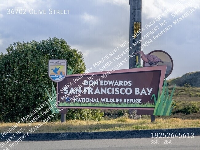 Foto del edificio - 36702 Olive St