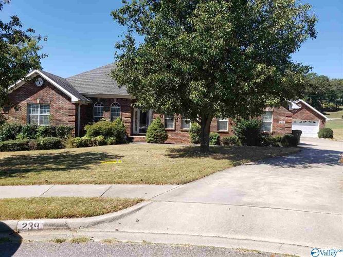 Foto principal - 239 Pebblestone Dr