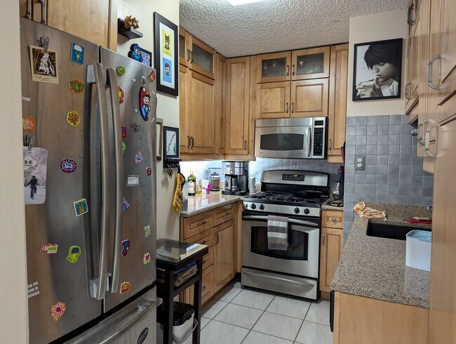 Foto del edificio - Incredible 1b1b in downtown Streeterville prime location