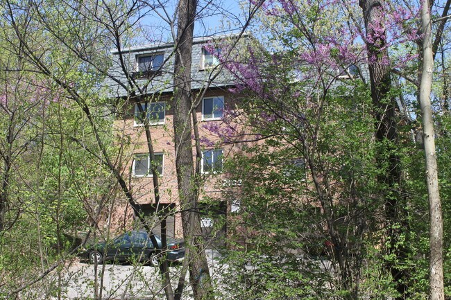 Picture from Iuka Park - 2103 Iuka Ave