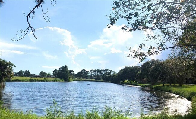 Foto del edificio - 13827 Fairway Island Dr