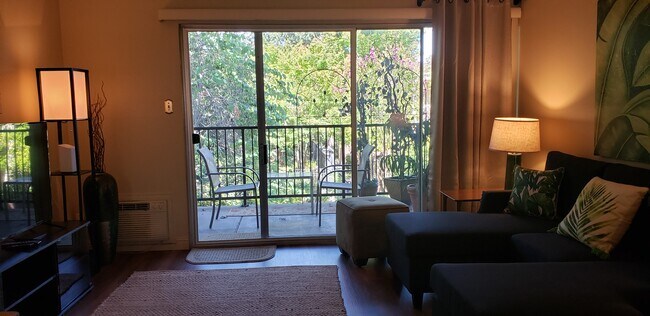 Vista desde el balcón - 1470 Creekside Dr