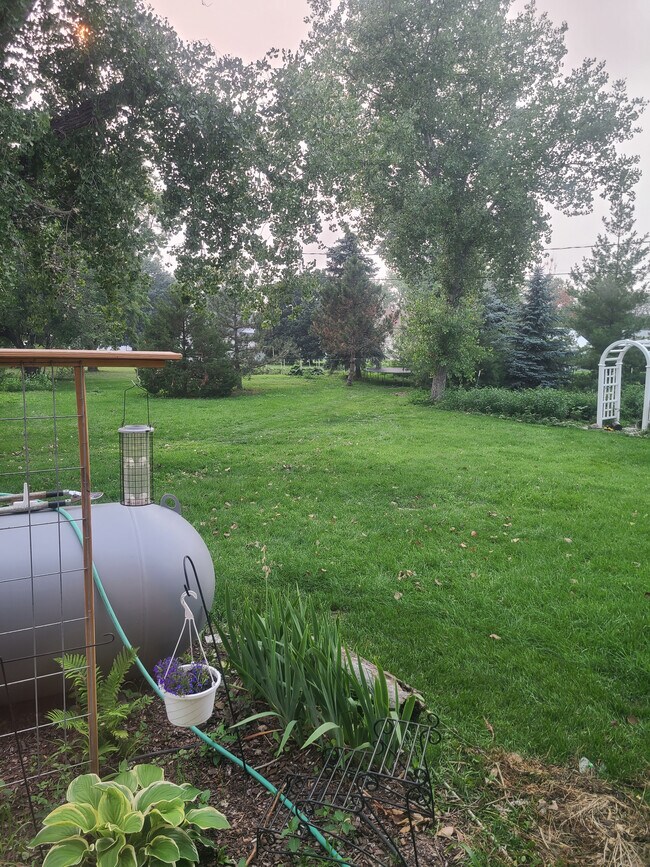 Backyard - 307 N Mary St