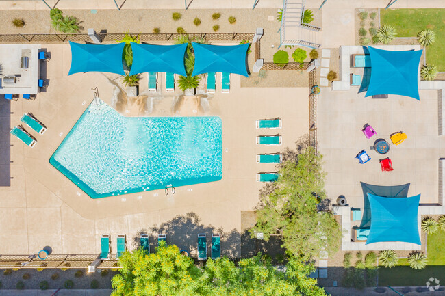 Piscina - University Pointe Apartments